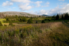 P1070964