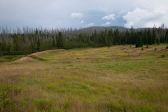 P1080098