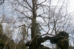 P1160664