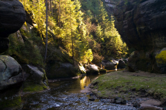 P1160689