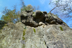 P1000869