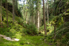 P1000890