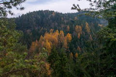 P1290097