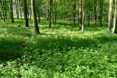 P1000645