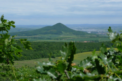 P1000650