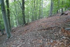 P1000666