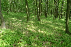 P1000679