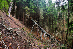 DSC_9179_stitch