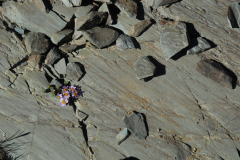20140820_5351