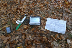 20141105_5528