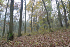 20141106_5532