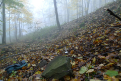 20141107_5535