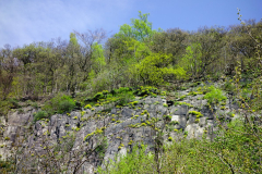 DSC00966