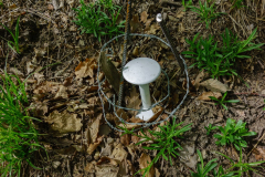DSC00984