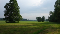 Moravian meadow