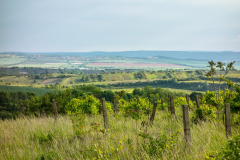 DSC09580