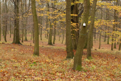 20171101_12344
