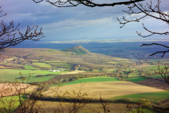 DSC01253