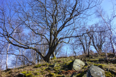 DSC02150