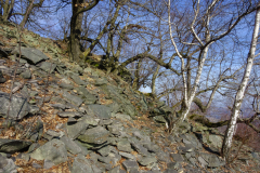 DSC02159