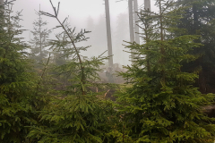 20190529_173252