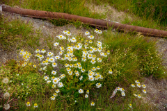 DF0_3069