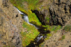 DF0_4669