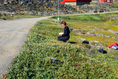 DF0_4954
