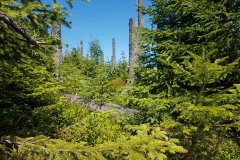 20190724_114838