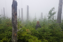 20190729_172504