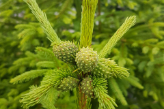 20190731_145611