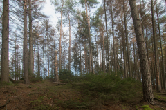 20191106_19310