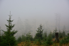 DS3_3764