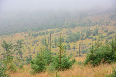 DS3_3772