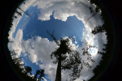 DS3_3474