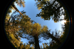 DS3_3641