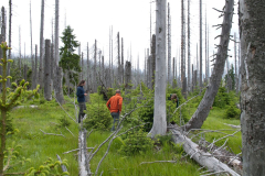 2010-08-fieldwork-bavarian-forest