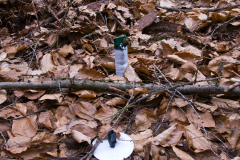 2011-04-saxon-switzerland-microclimate-stations