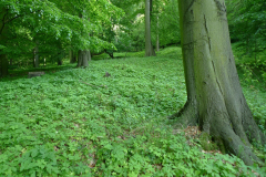P1000657