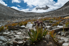 20130907_577