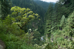 20130912_690