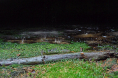 2013-11-microclimate-sumava