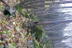 20141106_5530