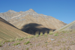AMM_4082