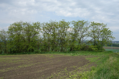 DSC05272