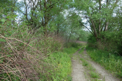 DSC05315