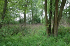 DSC05344