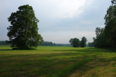 DSC05393