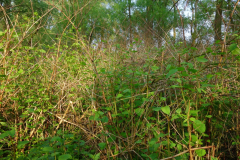 DSC05400