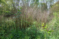 DSC05440